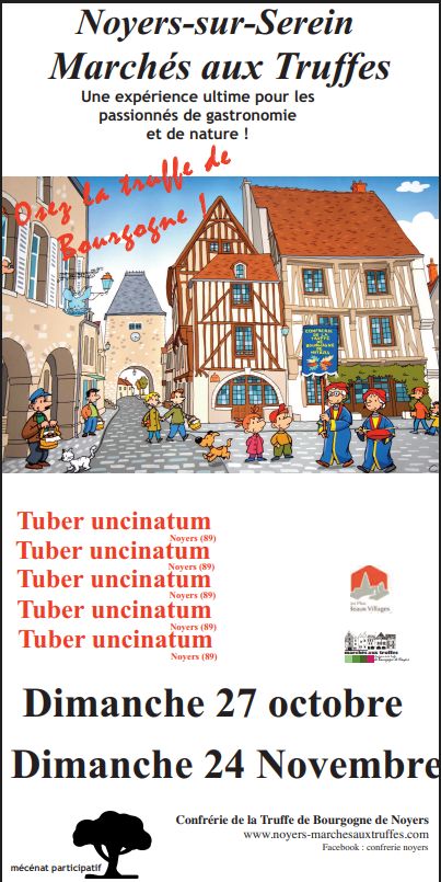 Flyer truffe 24